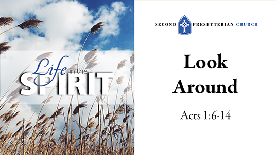 Life in the Spirit-Look Around
